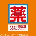 ドラックストア　ドラッグ新生堂昇町店（ドラッグストア）まで821m