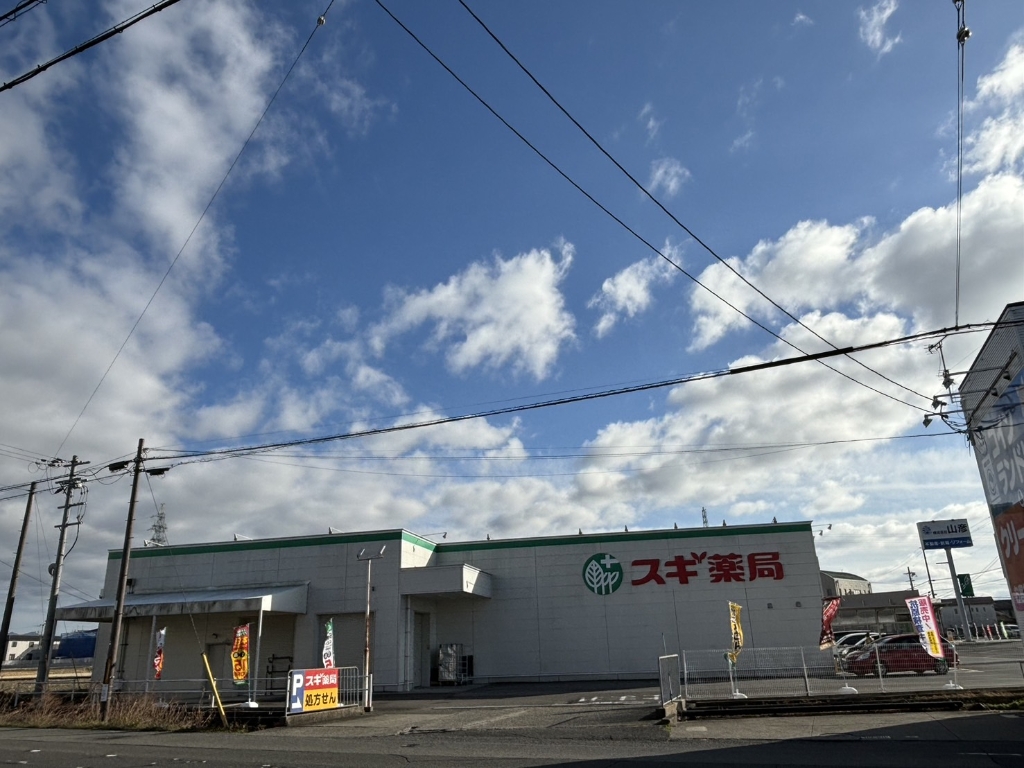 ドラックストア　スギ薬局　八日市店（ドラッグストア）まで312m
