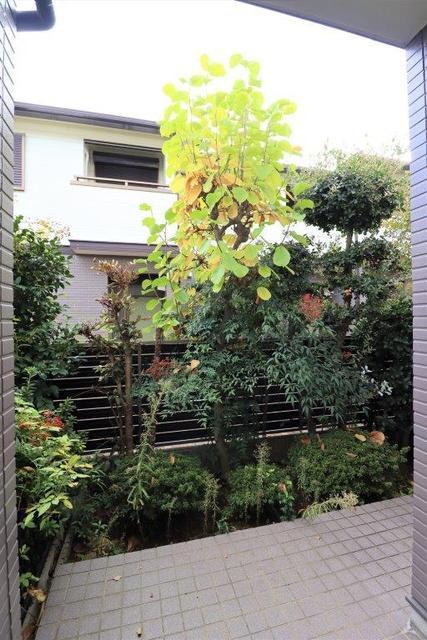 庭　専用庭