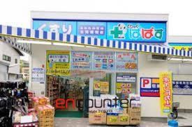 ドラックストア　どらっぐぱぱす下落合店（ドラッグストア）まで260m