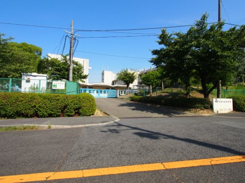 中学校　堺市立立宮山台中学校（中学校）まで743m