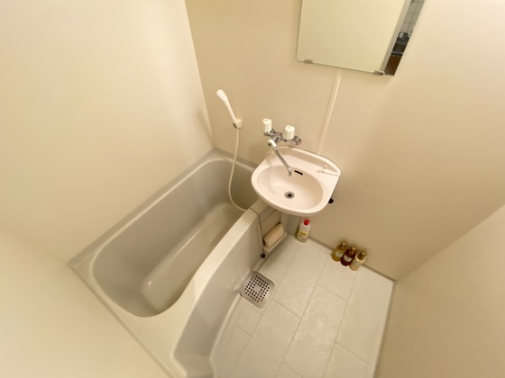 バス・シャワールーム　※別部屋の写真です