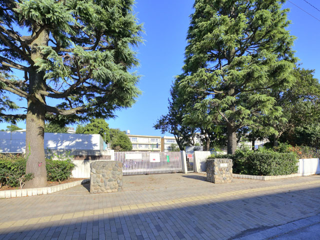 小学校　柏市立第五小学校（小学校）まで335m