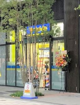 ドラックストア　マツモトキヨシ ベルトーレ金町店（ドラッグストア）まで1099m