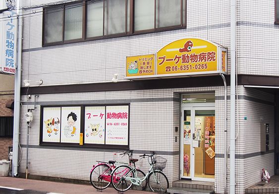 病院　ブーケ動物病院（病院）まで550m