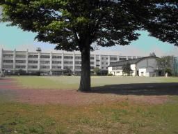 小学校　元八王子東小学校（小学校）まで376m