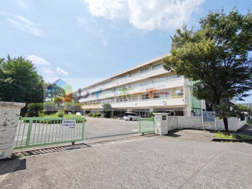 中学校　志木市立志木第二中学校（中学校）まで294m