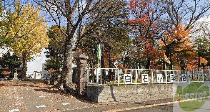 小学校　札幌市立白石小学校（小学校）まで905m