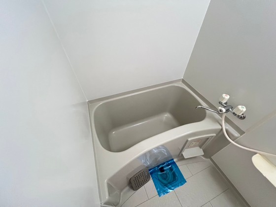 バス・シャワールーム　※別部屋の写真です