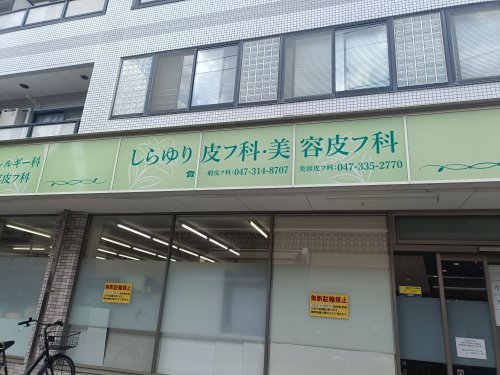 病院　しらゆり皮フ科・美容皮フ科（病院）まで167m