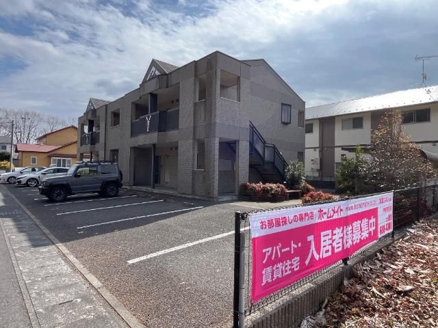 ステイゴールド