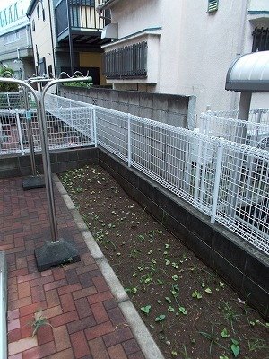 庭