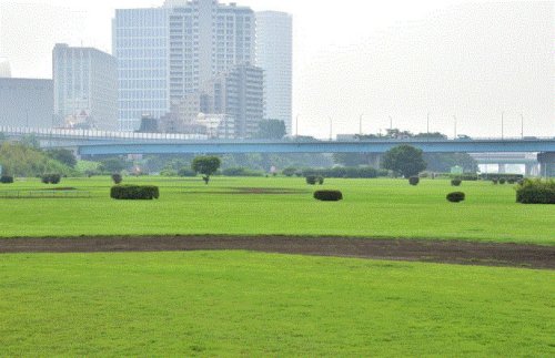 公園　多摩川二子橋公園（公園）まで2210m