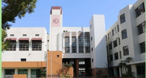 小学校　大阪市立南小学校（小学校）まで733m