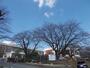 小学校　合志南小学校（小学校）まで200m
