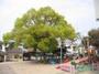 幼稚園・保育園　宝珠幼稚園（幼稚園・保育園）まで220m