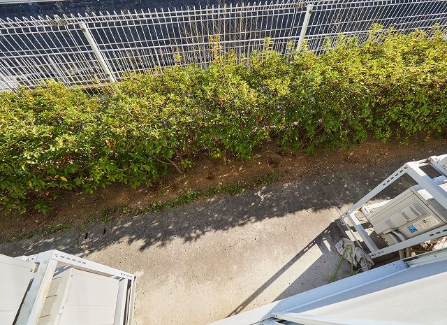 庭　東面テラス