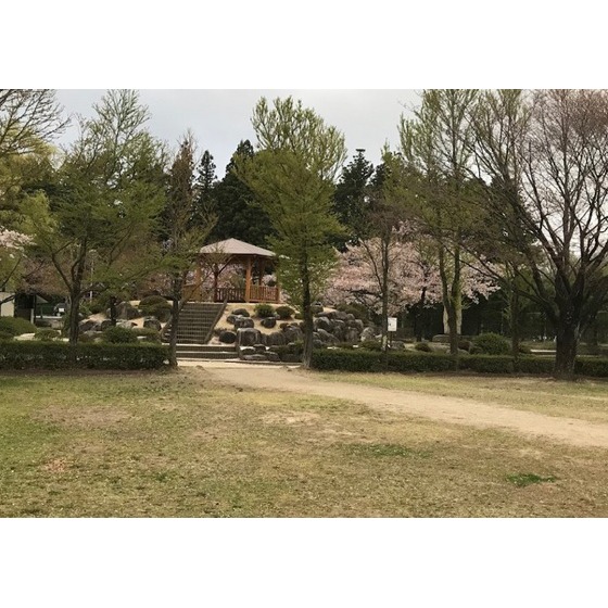 公園　矢高中央公園（公園）まで1630m