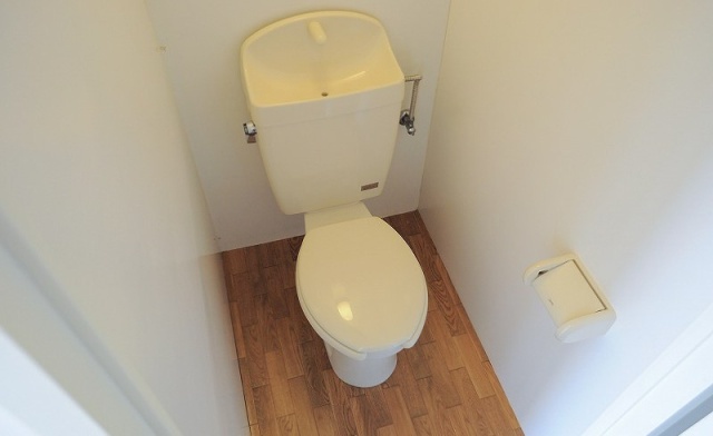 トイレ　同物件、別号室のものです。