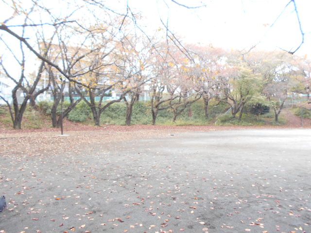 公園　小台公園（公園）まで415m