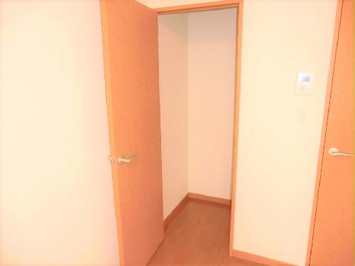 収納　同タイプ物件の為、形状や間取寸法、色調等が実際とは異なります