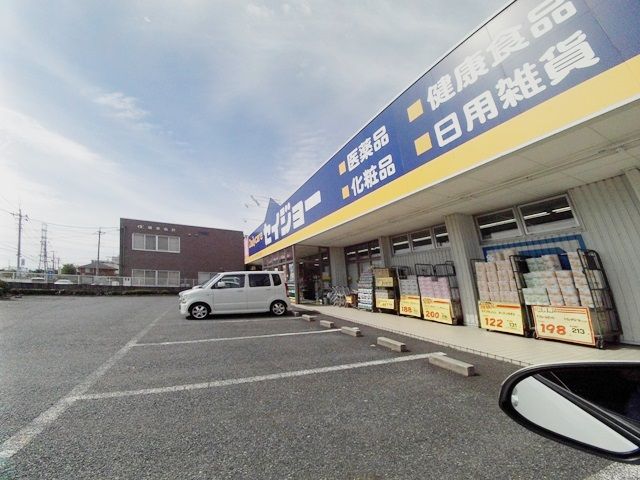 ドラックストア　デイリーケアセイジョー桶川坂田店（ドラッグストア）まで372m