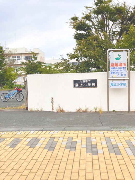 小学校　八潮市立潮止小学校（小学校）まで1100m