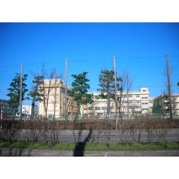 小学校　新潟市立上山小学校（小学校）まで384m