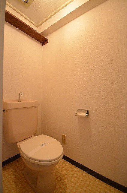 トイレ　同物件、別号室のものです。