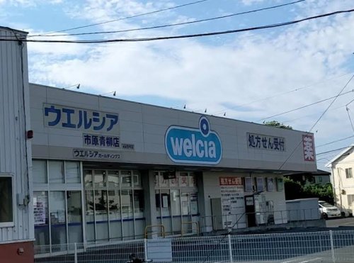 ドラックストア　ウェルシア市原青柳店（ドラッグストア）まで1112m