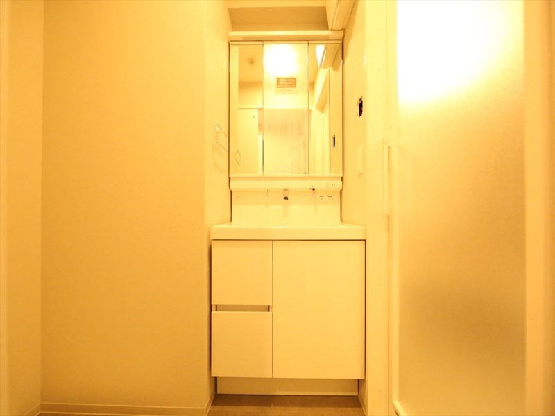 洗面設備　脱衣所　独立洗面台（シャンプードレッサー付）収納スペース有