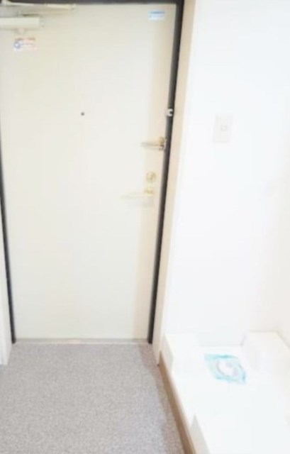 玄関　同仕様参考写真