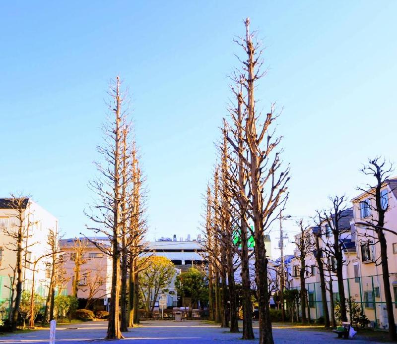公園　立石五丁目公園（公園）まで210m