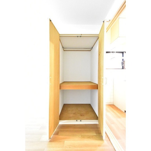 収納　内装は落ち着いています