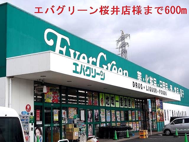 ドラックストア　エバグリーン桜井店様（ドラッグストア）まで600m