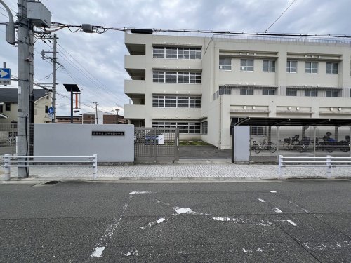 小学校　西宮市立上甲子園小学校（小学校）まで523m