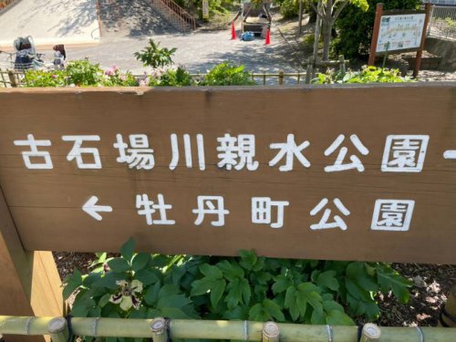 公園　牡丹町公園（公園）まで611m