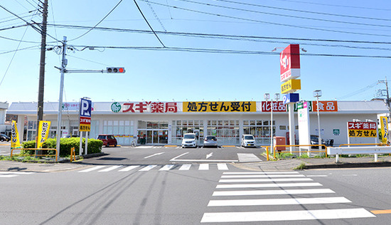 ドラックストア　スギ薬局南元宿店（ドラッグストア）まで455m