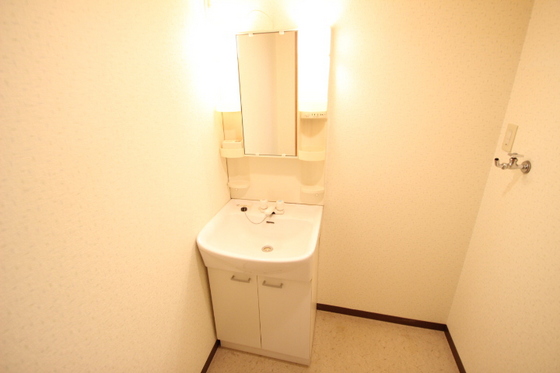 洗面設備　※別号室の写真です。