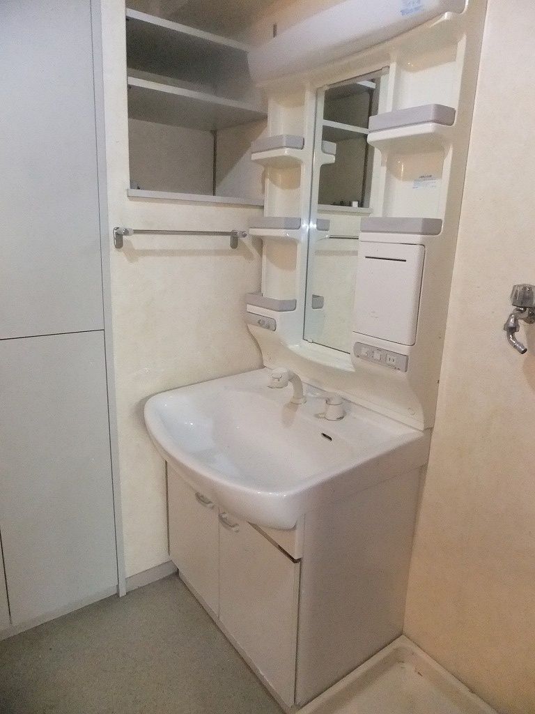 洗面設備　シャンプードレッサー（別部屋参考写真）