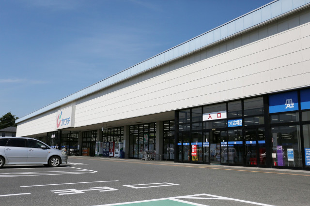 ドラックストア　カワチ薬局つくば大穂店（ドラッグストア）まで500m