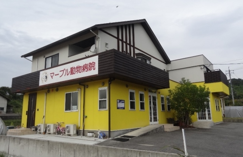病院　マーブル動物病院（病院）まで1925m
