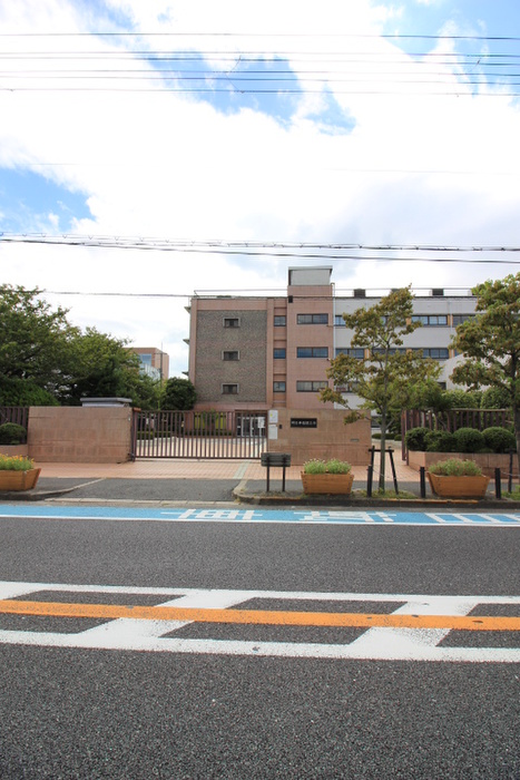 大学・短大　堺女子短大（大学・短大）まで980m