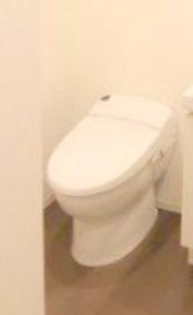 トイレ　別部屋同仕様