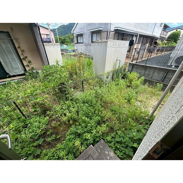 庭