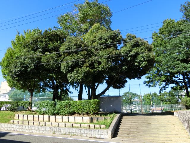 公園　廻間公園（公園）まで310m