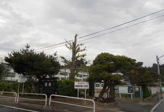 小学校　東松島市立鳴瀬桜華小学校（小学校）まで800m