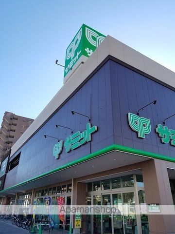 スーパー　サミットストア野沢龍雲寺店（スーパー）まで935m
