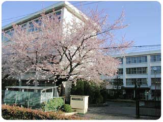 中学校　八王子市立 第一中学校（中学校）まで567m