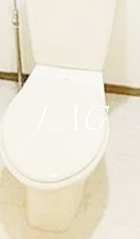 トイレ　トイレです。